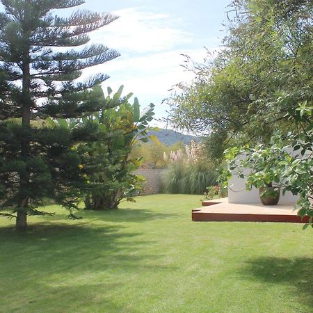 Villa Ca Na Vinya Cala Tarida  Esterno foto