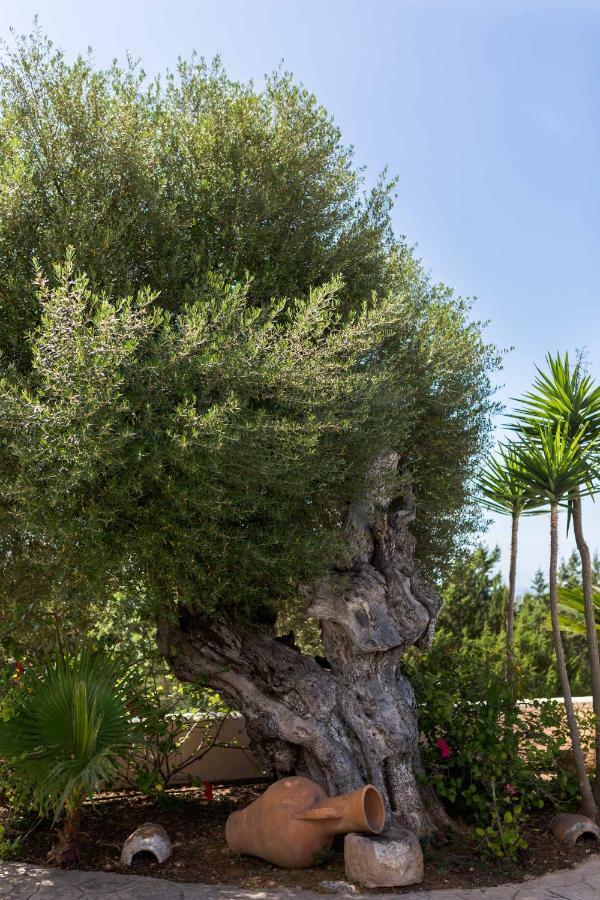 Villa Ca Na Vinya Cala Tarida  Esterno foto